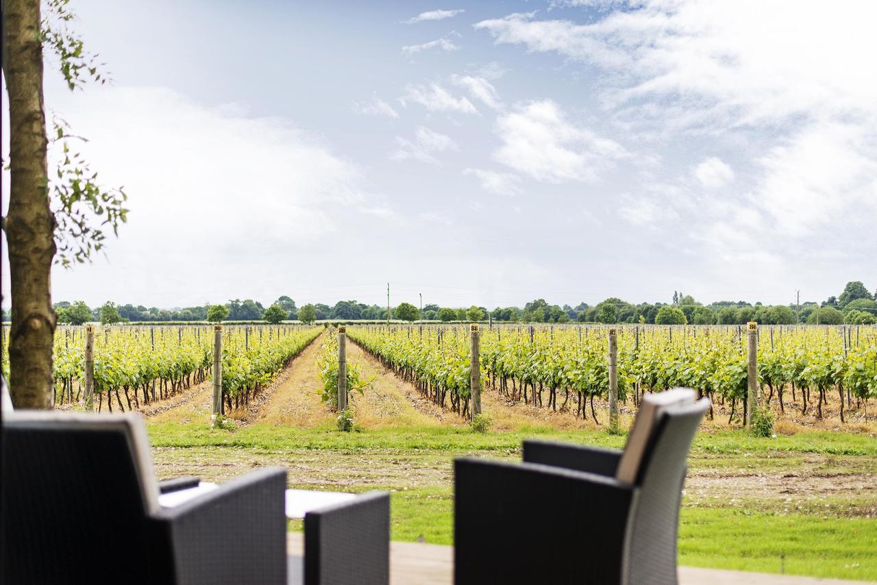Tinwood Estate Vineyard Chichester